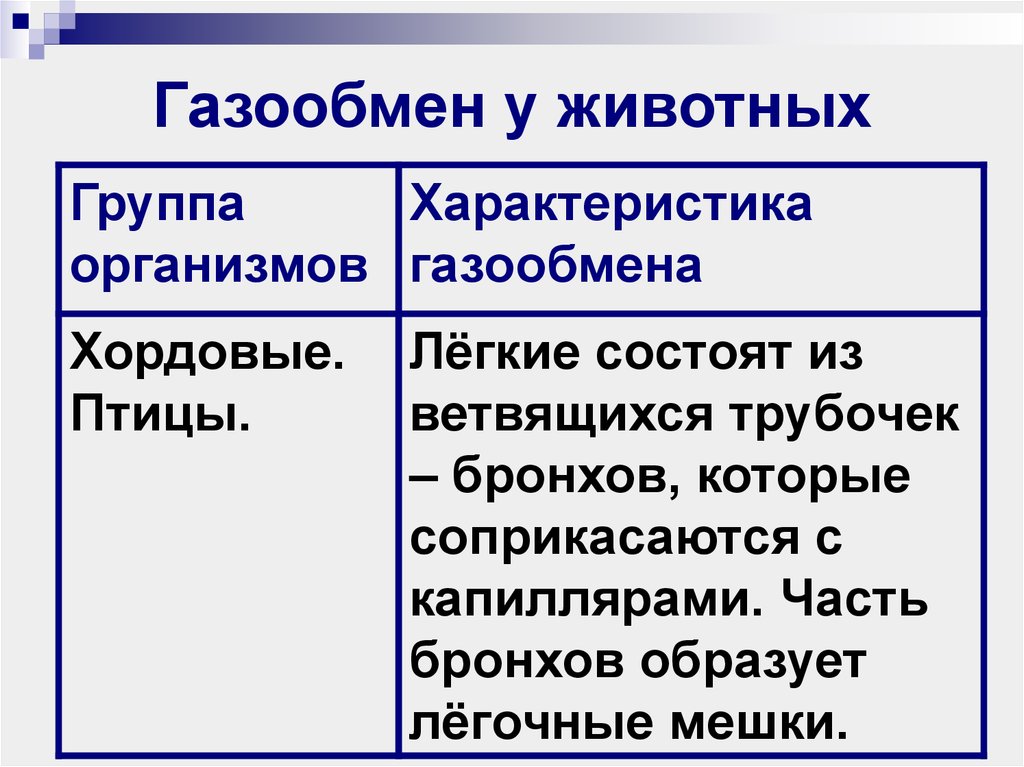 Схема газообмена у живых организмов используя свои примеры