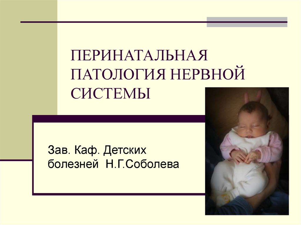 Перинатальная патология. Перинатальная патология нервной системы. Причины перинатальной патологии. Патология перинатального периода.