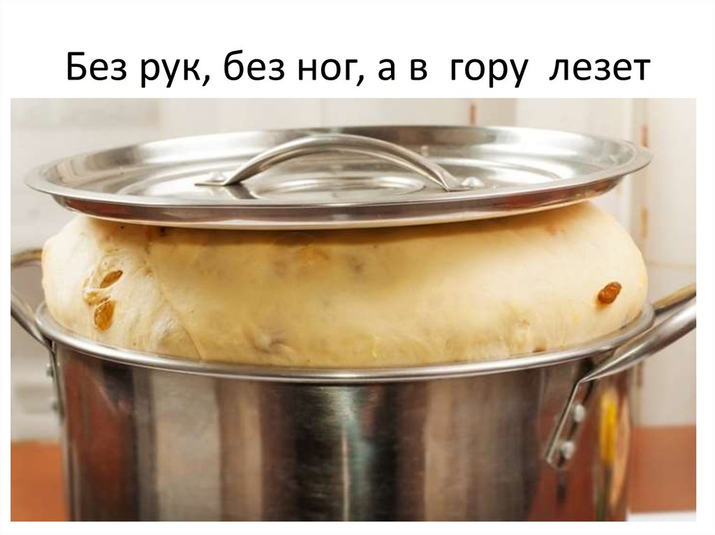 Без рук, без ног, а в гору лезет