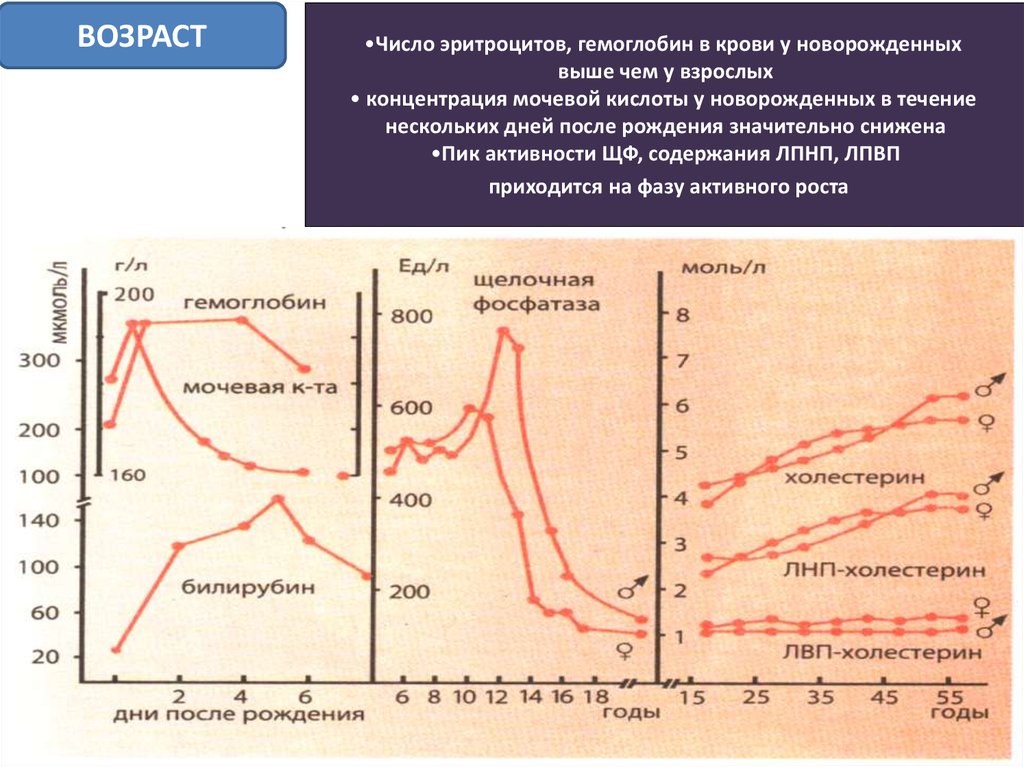Холестерин и гемоглобин высокие. Возрастные изменения гемоглобина. Концентрация эритроцитов в крови. Возрастные изменения эритроцитов.