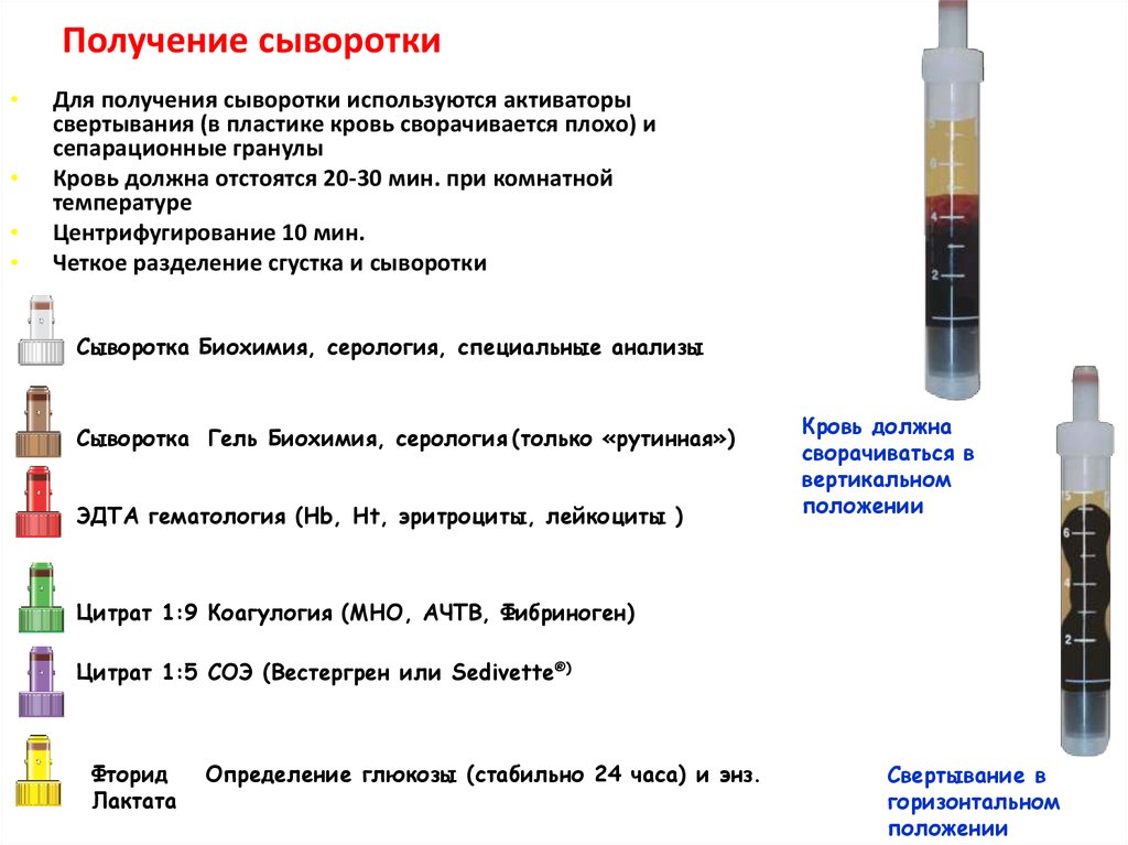 Отличие сыворотки. Как получить сыворотку крови. Методика приготовления сыворотки крови. Сыворотка крови принцип получения. Методика получения сыворотки из крови.