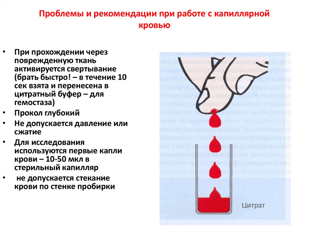 Проблемы и рекомендации при работе с капиллярной кровью