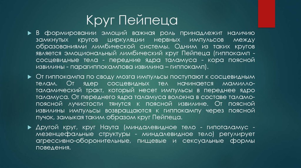 Система круг. Круг Пейпеца лимбическая система. Круг Пейпеца. Эмоциональный круг Пейпеца. Круг Пейпеца структуры.