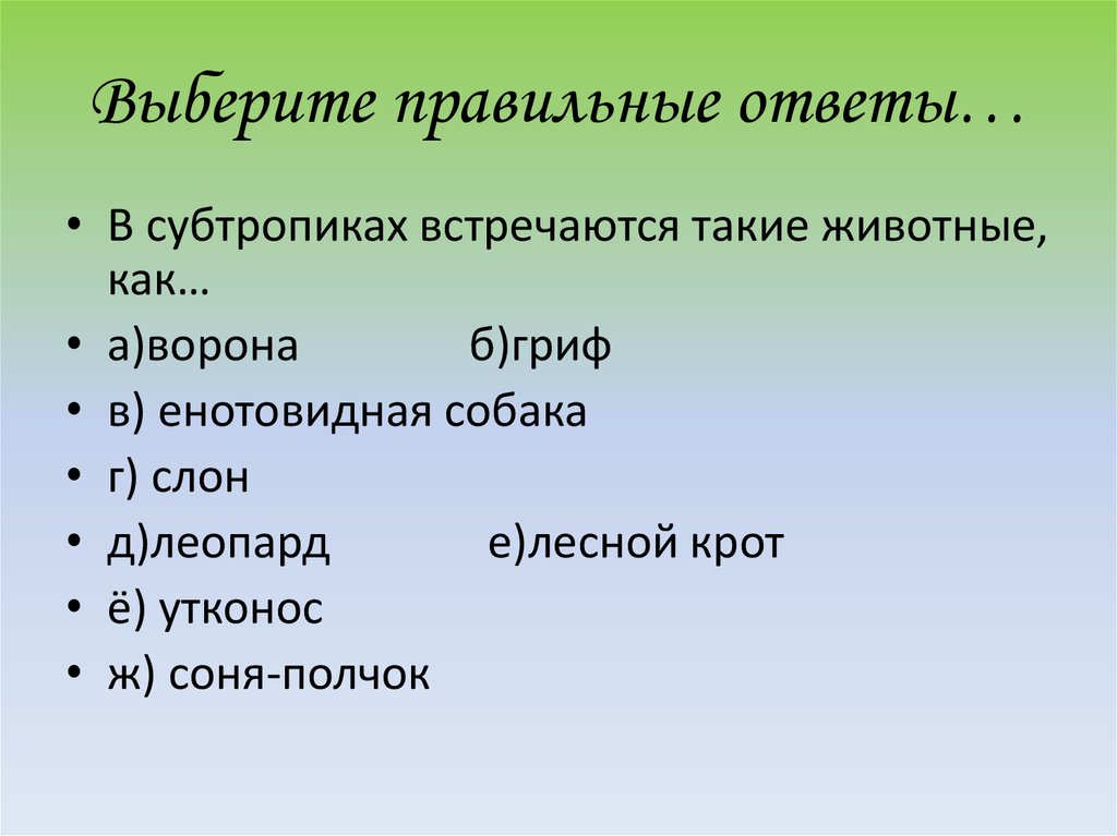 План описания природной зоны субтропики