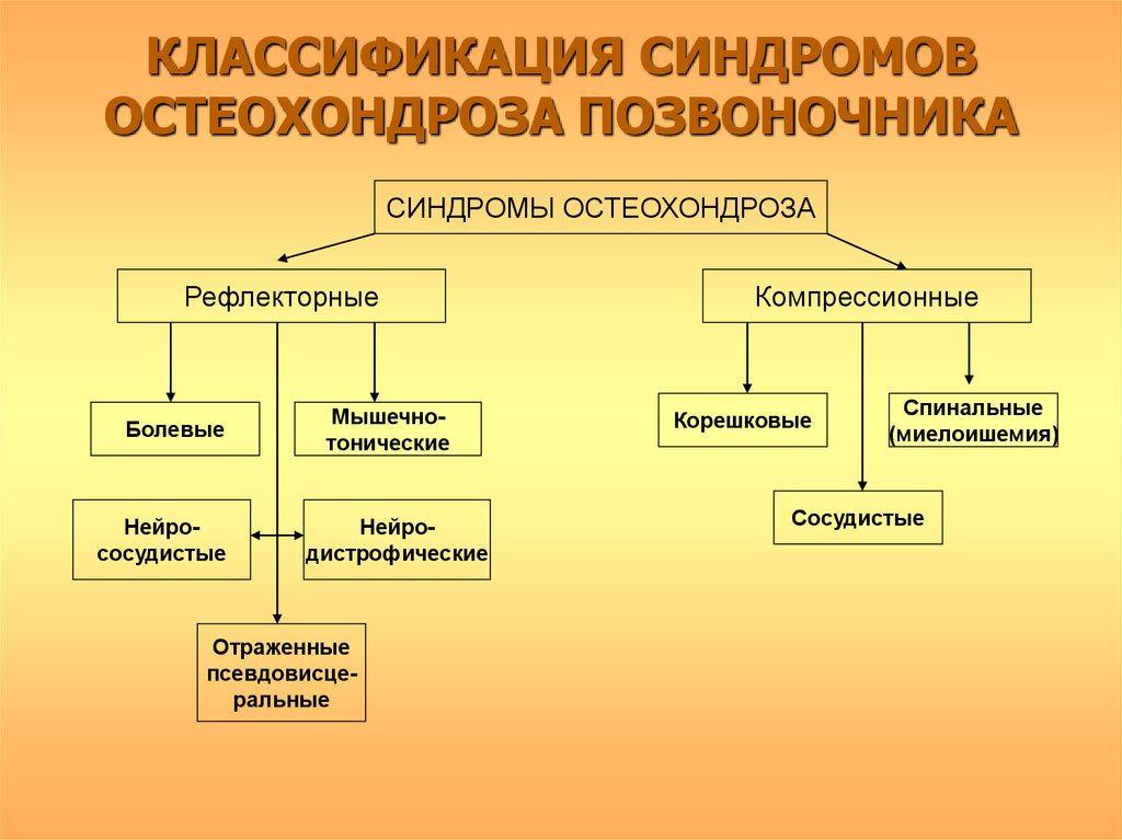 Классификация синдромов. Классификация остеохондроза. Классификация остеохондроза позвоночника. Рефлекторные синдромы остеохондроза.