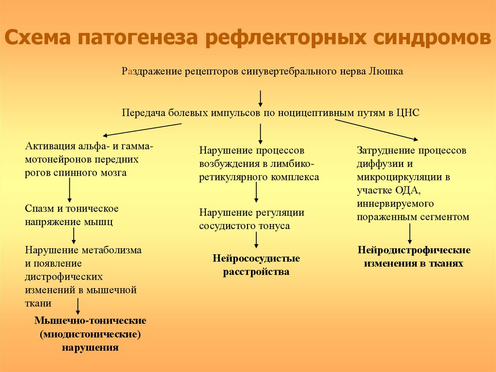 Раздражение рецепторов. Патогенез рефлекторных синдромов. Схема механизмов развития нейродистрофического процесса. Патогенез рефлекторного вертеброгенного синдрома. Механизмы раздражения рецепторов синувертебрального нерва.