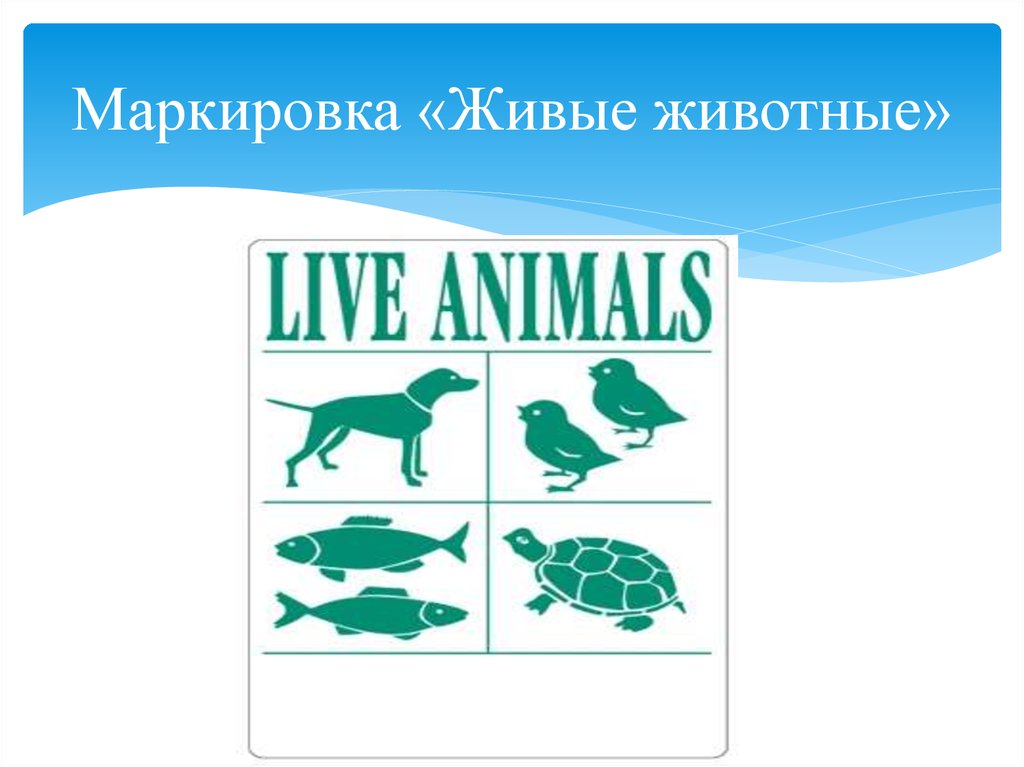 Обозначение животных. Маркировка живые животные. Наклейка живые животные. Бирка живые животные. Маркировка живое животное.