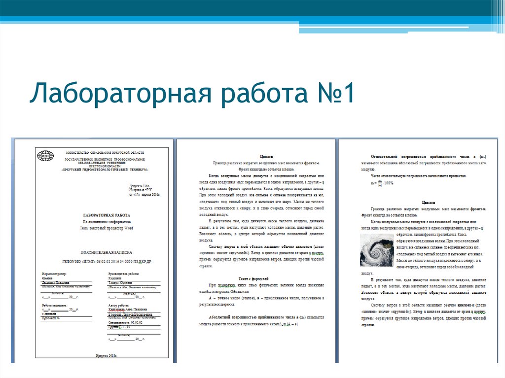 Лабораторная работа №1