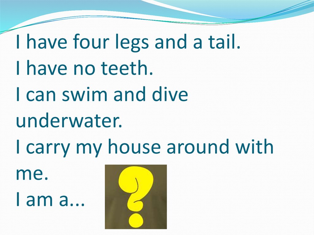 I have four legs and a tail. I have no teeth. I can swim and dive underwater. I carry my house around with me. I am a...
