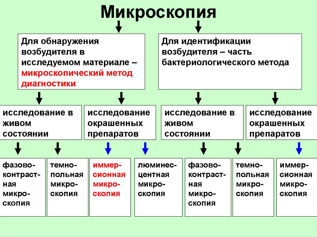 Виды микроскопии презентация