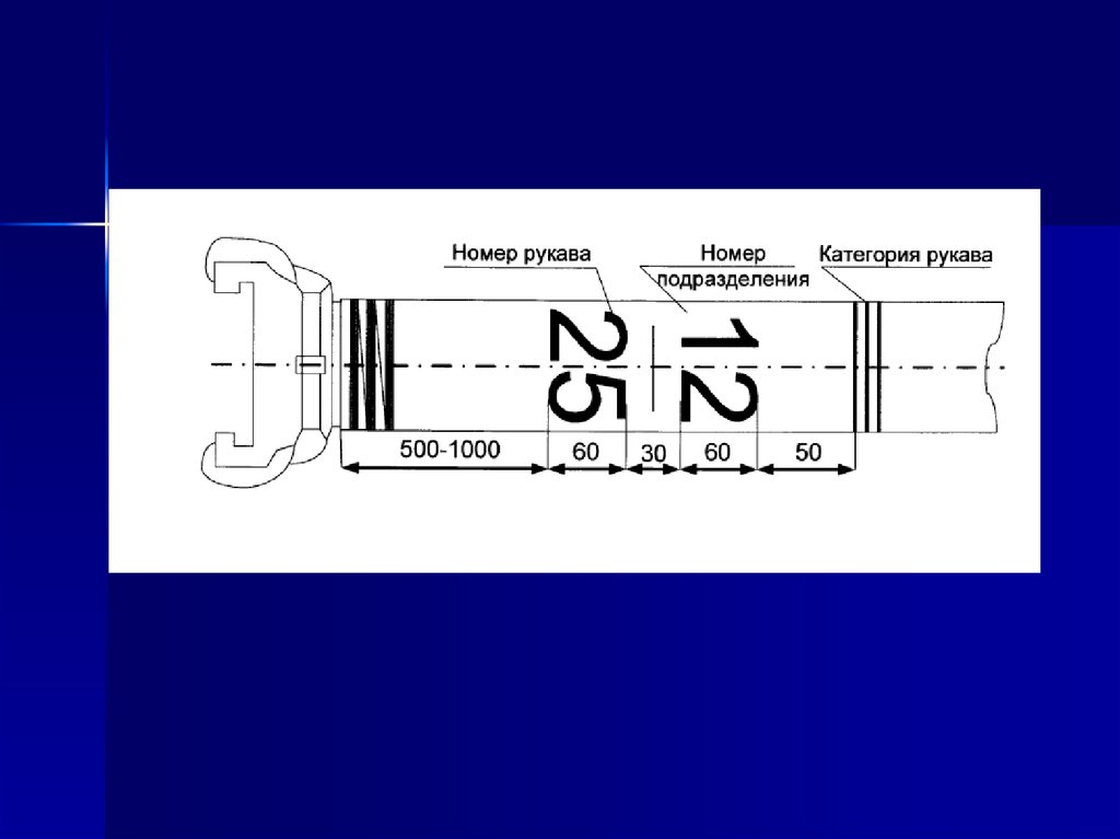 Размеры пожарных рукавов. Номера пожарных рукавов. Надпись пожарный рукав картинка.