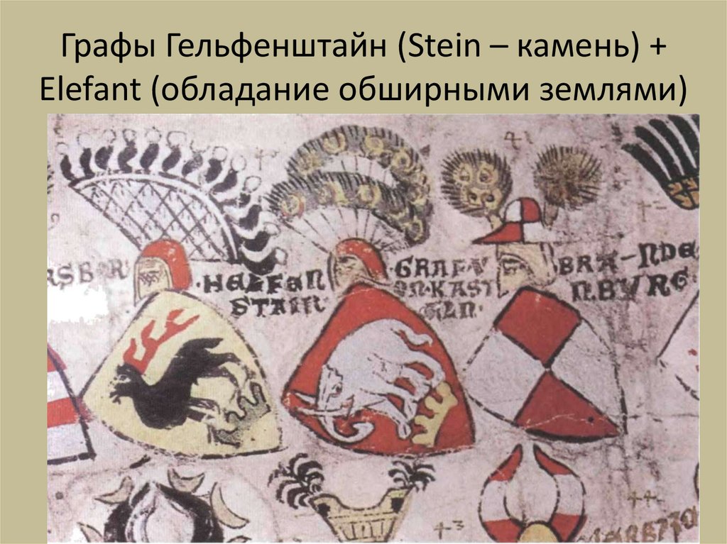 Графы Гельфенштайн (Stein – камень) + Elefant (обладание обширными землями)