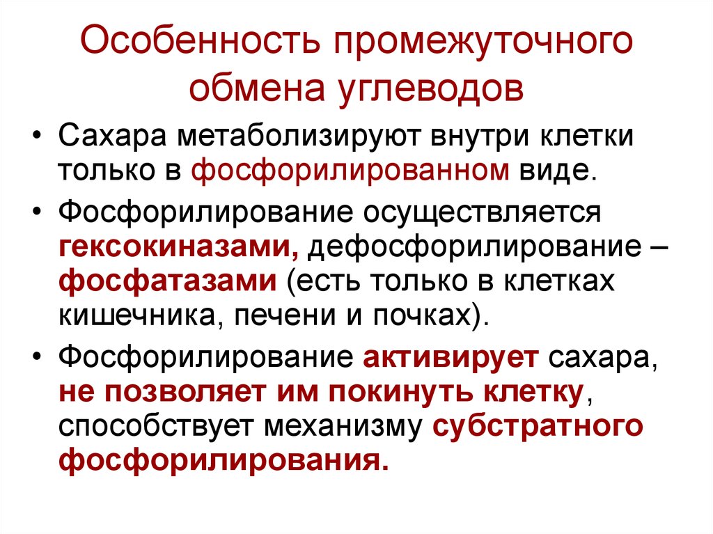 Особенности обмена. Промежуточный обмен углеводов. Основные этапы обмена углеводов. Процессы промежуточного обмена углеводов. Основные этапы углеводного обмена.