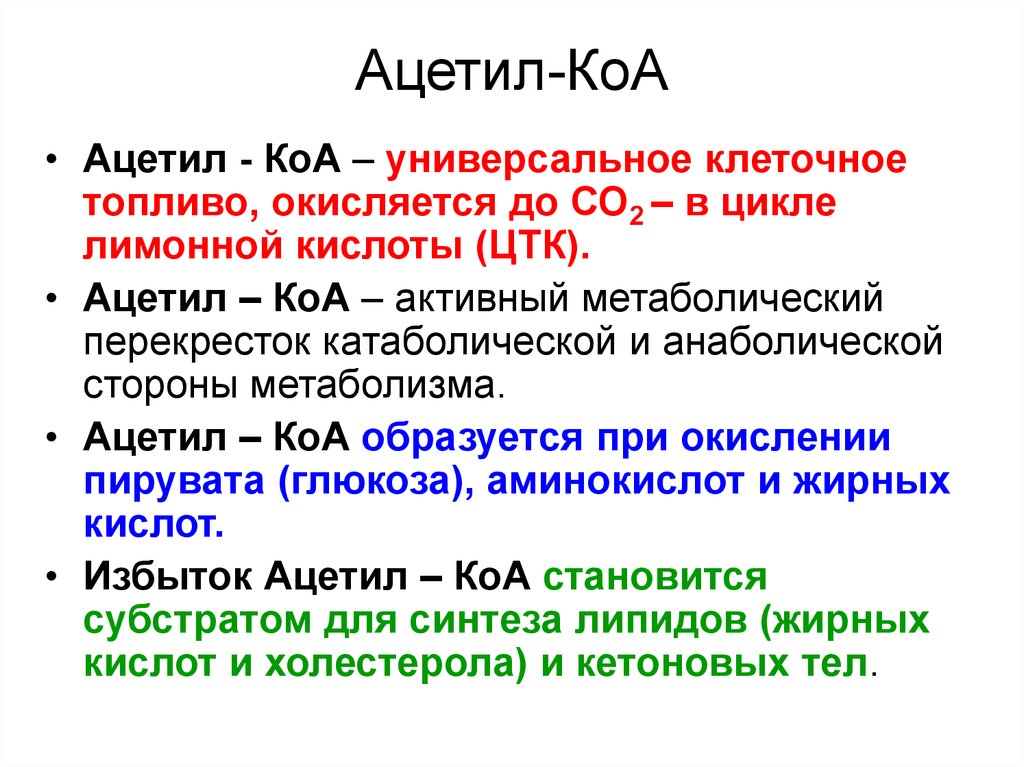 Ацетил коа пути. Образование ацетил-КОА формула. Ацетил кофермент а формула. КОА функции биохимия. Биологическая роль ацетил КОА.