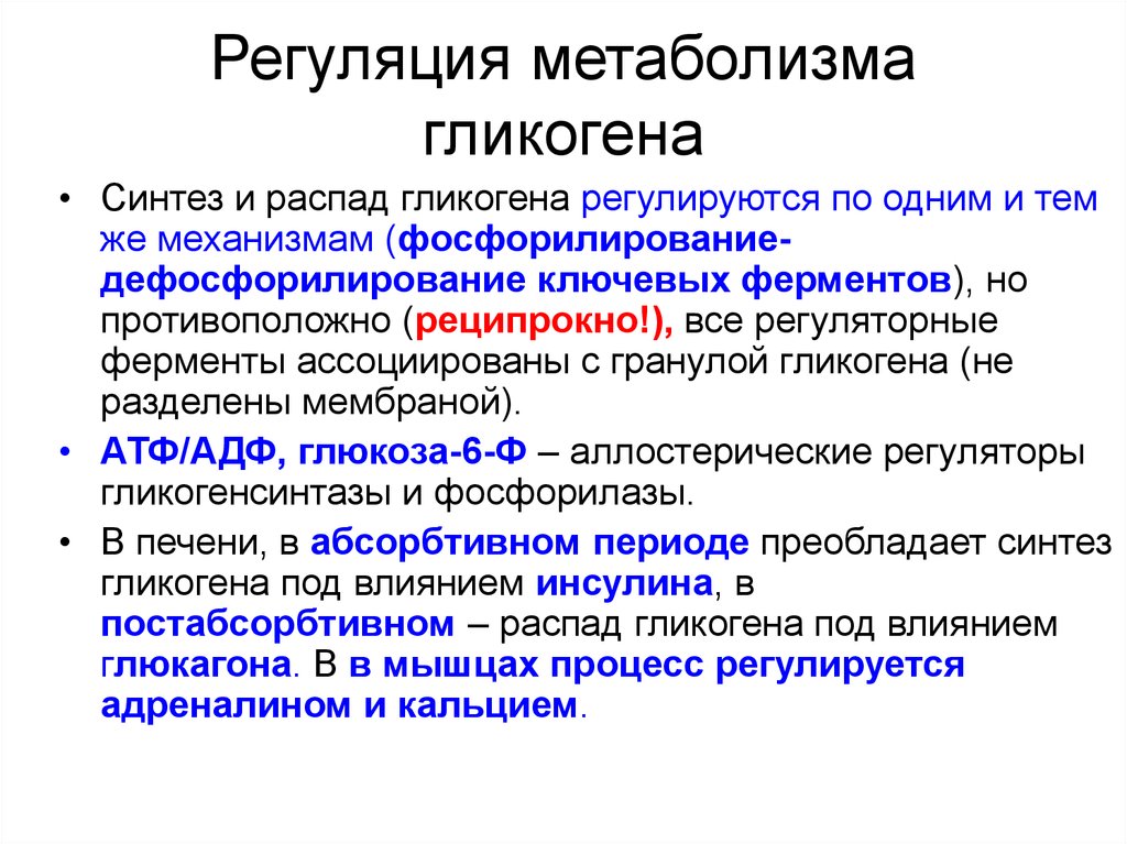 Синтез и распад. Регуляция биосинтеза гликогена. Регуляция метаболизма гликогена. Регуляция синтеза и распада гликогена. Регуляция Синтез глкогена.