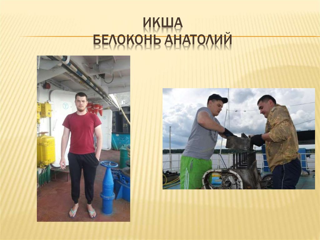 Икша белоконь анатолий