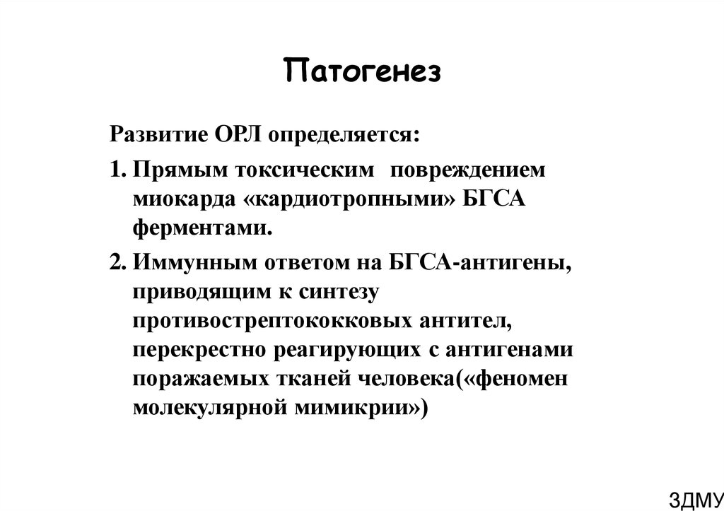 Орл б. Острая ревматическая лихорадка патогенез. Острая ревматическая лихорадка у детей патогенез. Патогенез ревматической лихорадки у детей. Патогенез Орл.