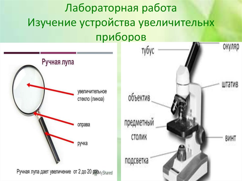 Практическая работа устройство. Лабораторная работа устройство микроскопа 5 класс. Лабораторная работа устройство светового микроскопа 5 класс. Таблица устройство микроскопа лабораторная работа. Лабораторная 5 класс биология увеличительные приборы.