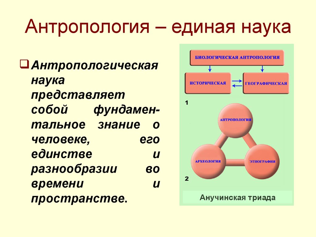 Методология антропологии