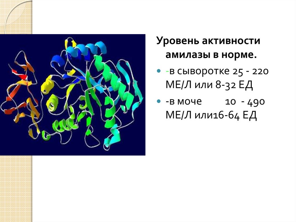 Увеличение сывороточной амилазы характерно. Фермент амилаза. Α-амилаза. Гамма амилаза. Альфа амилаза строение.