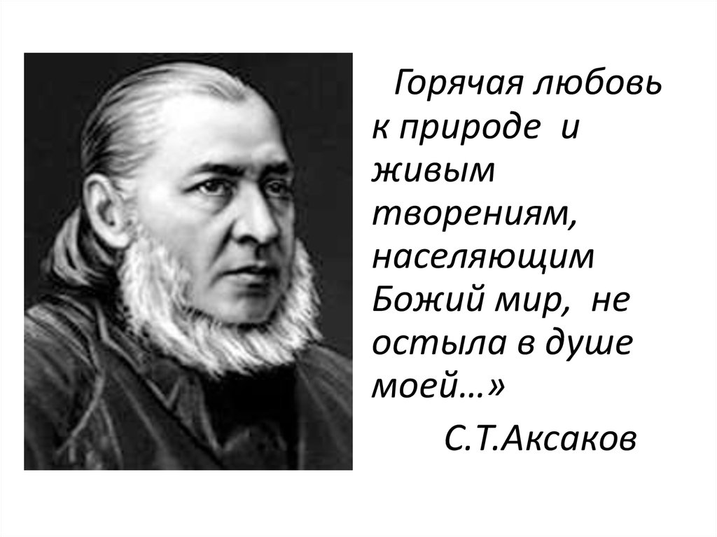 Найдите в тексте очерка ответы и запишите картины сказки