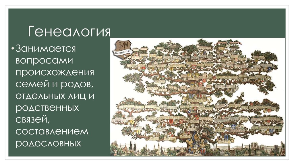 Форум уральской генеалогии. Генеалогия. Генеалогия это наука изучающая. Генеалогия средневековья. Генеалогия история науки.