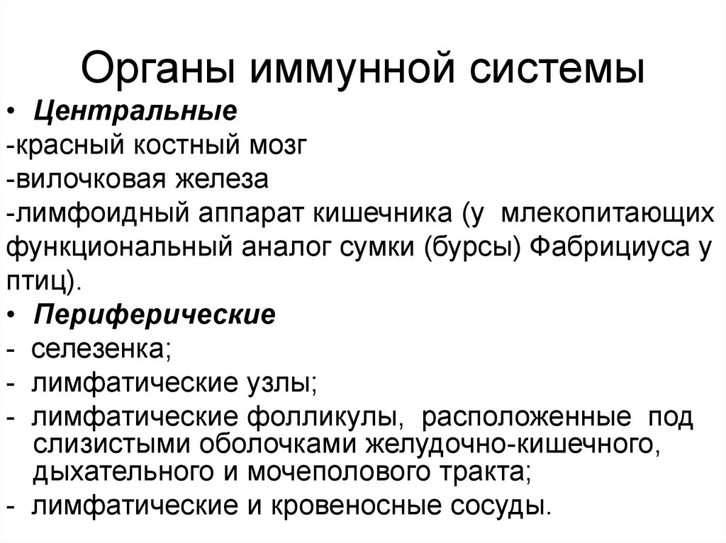 Первичные органы. Органы иммунной системы животных. Иммунная система млекопитающих. Структура иммунной системы животных. Периферические органы иммунной системы.