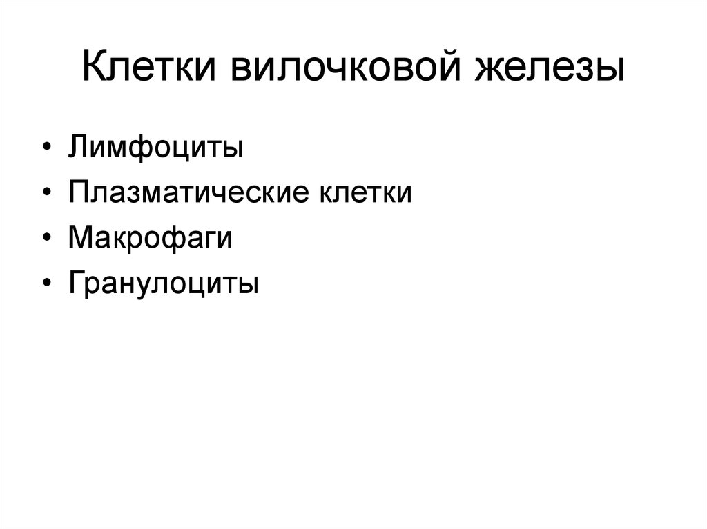 Лимфоидная ткань стенок органов пищеварительной и дыхательной системы