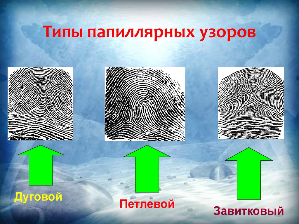 Криминалистическая трасология презентация