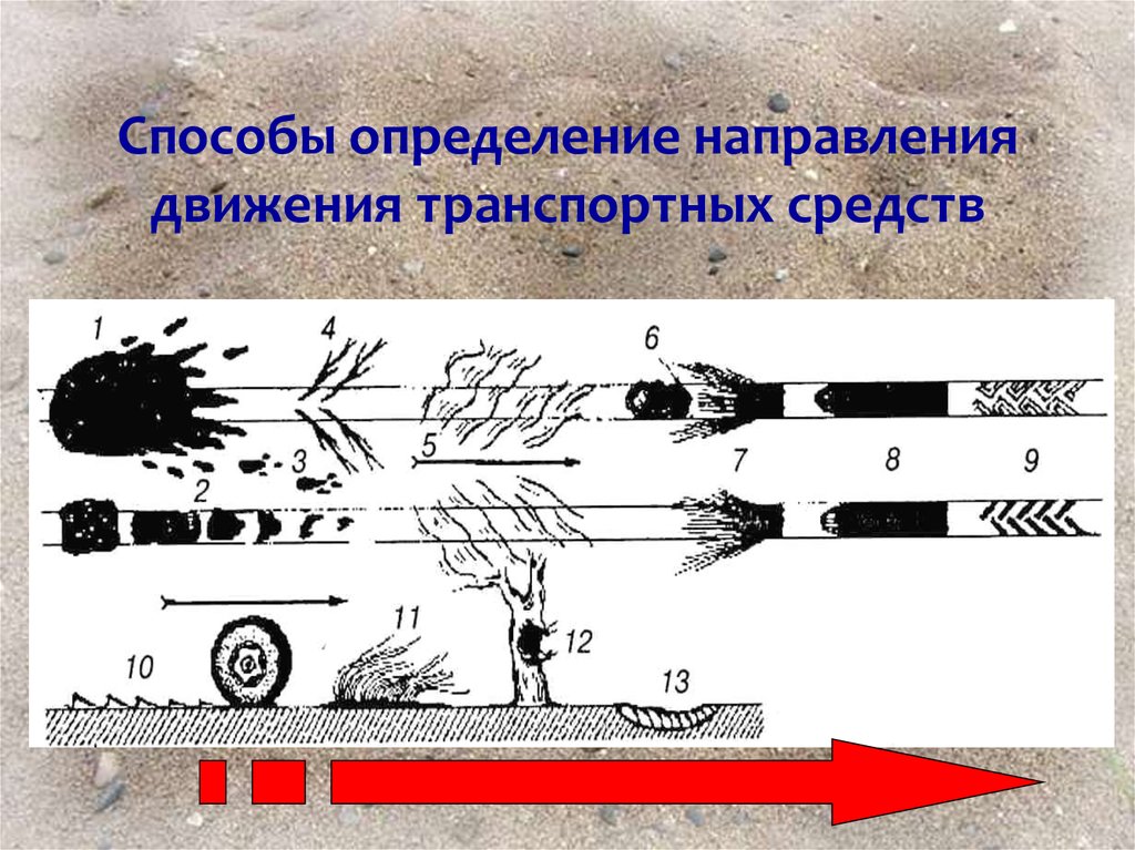 Определите направление стрелки на рисунке