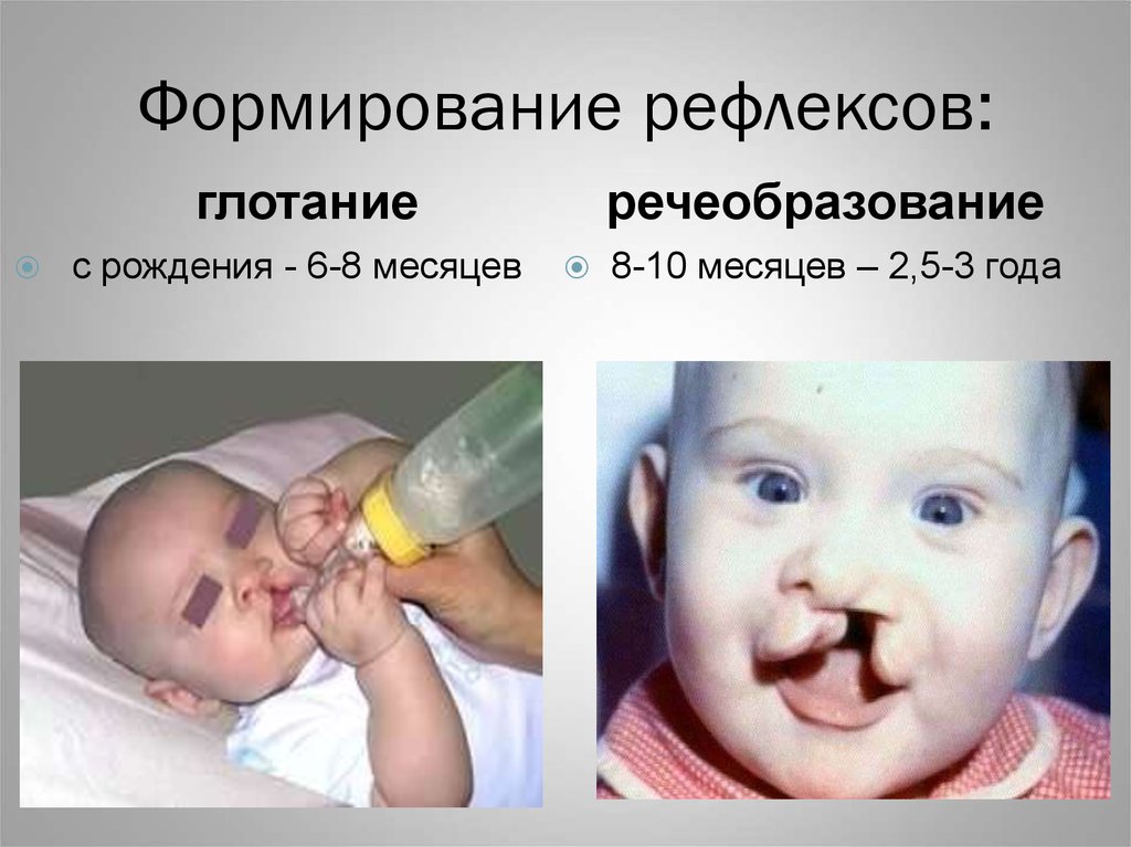 Формирование рефлексов: