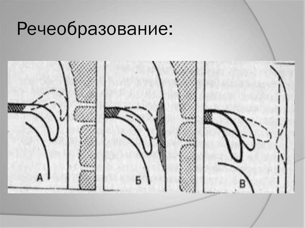 Речеобразование: