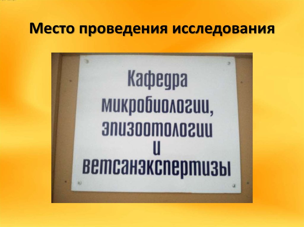 Место проведения исследования