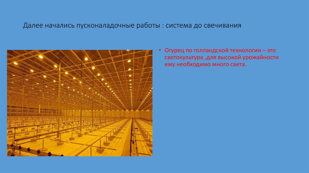 Далее начались пусконаладочные работы : система до свечивания