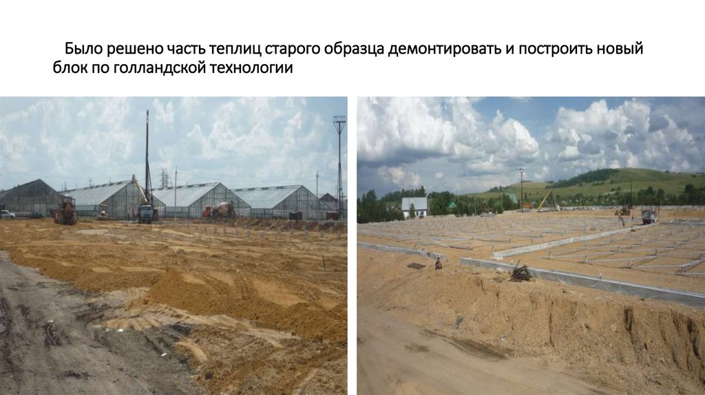 Было решено часть теплиц старого образца демонтировать и построить новый блок по голландской технологии