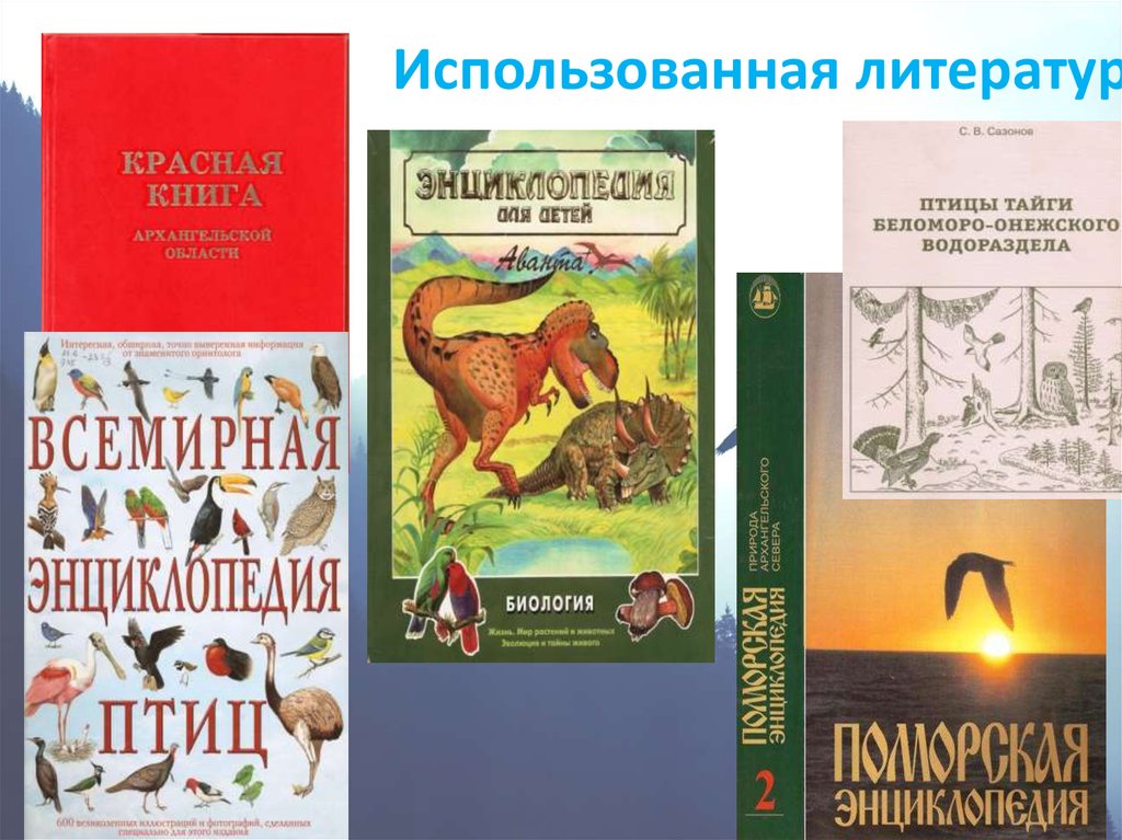 Красная книга архангельской области презентация