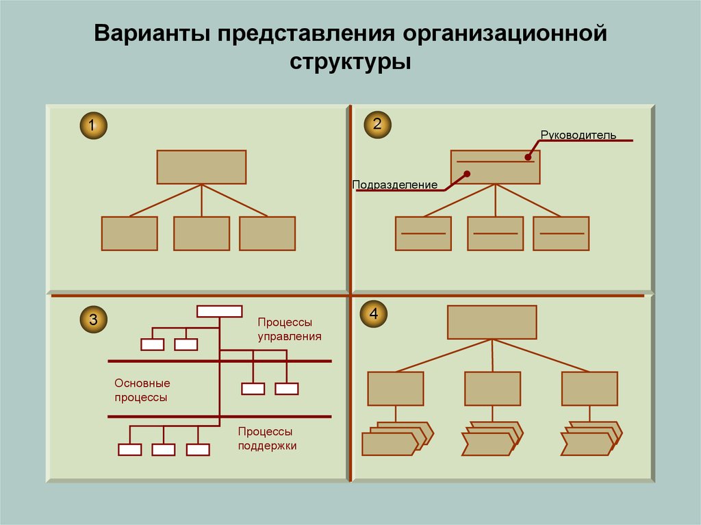 Варианты представления данных. Варианты организационных структур. Варианты структур управления. Варианты оргструктуры. Организационная структура представление.