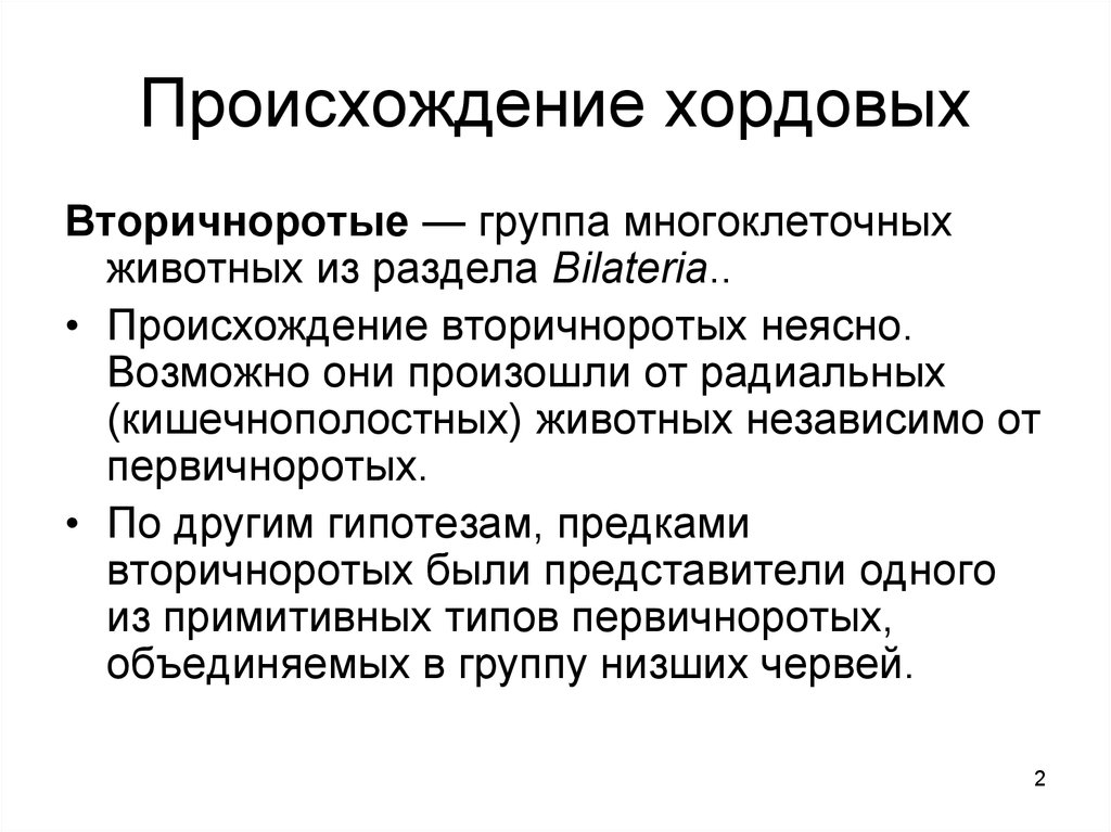 Происхождение животных. Тип Хордовые происхождение. Кишечнополостные Первичноротые. Происхождение хордовых животных. Вторичноротые.