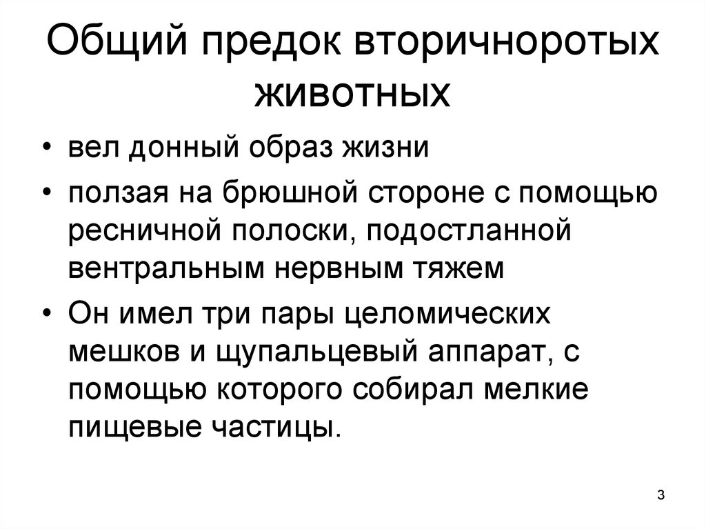 Вторичноротая. Предок вторичноротых. Лука общий предок. Общий предок. Общий предок первичноротых и вторичноротых.