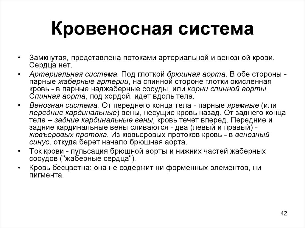 И представляет собой замкнутый. Передние и задние кардинальные вены сливаются в кювьеровы протоки.