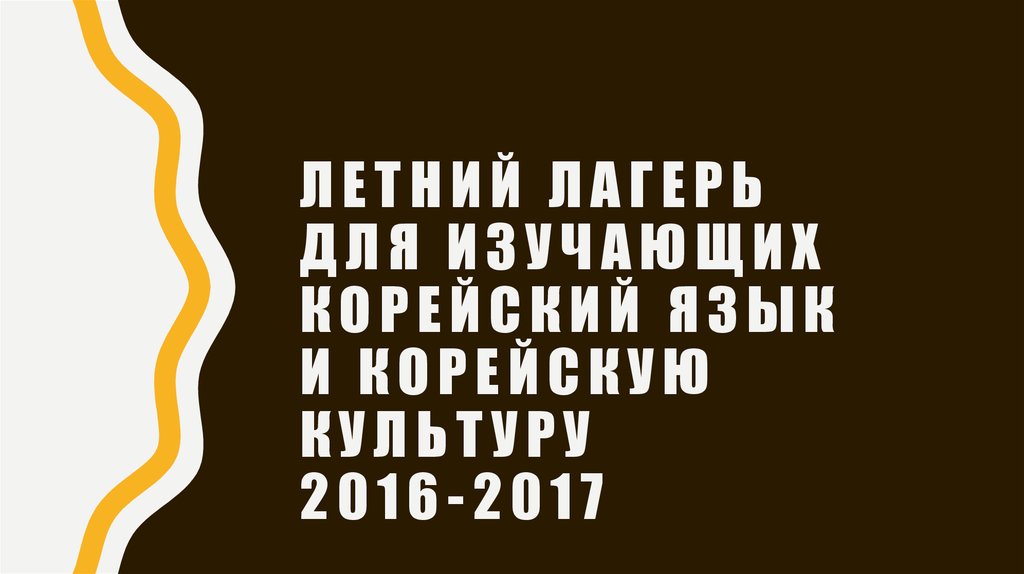 Летний лагерь для изучающих корейский язык и корейскую культуру 2016-2017