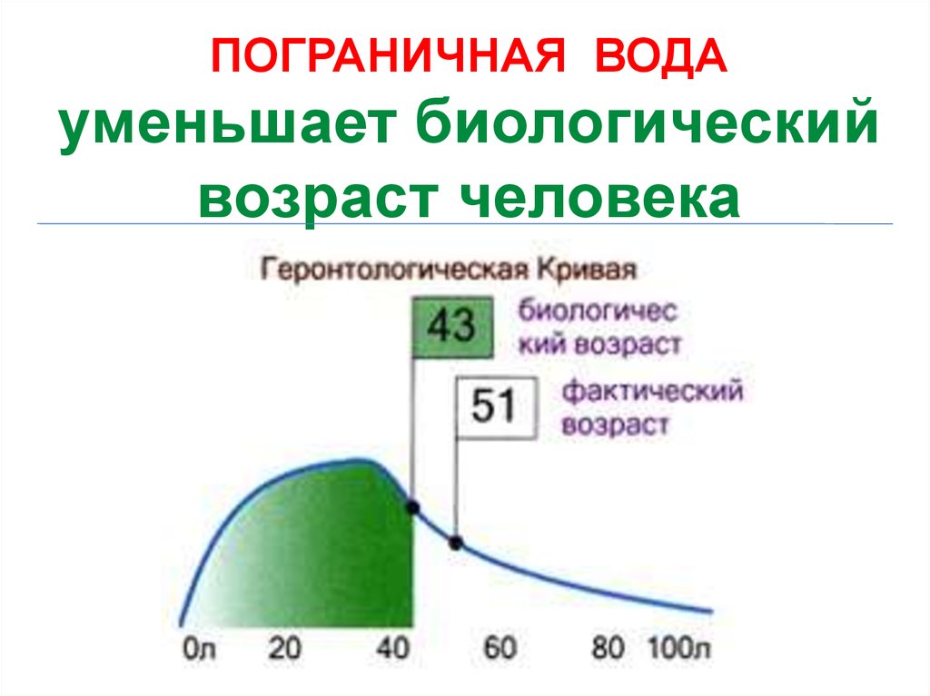 Пограничная вода презентация