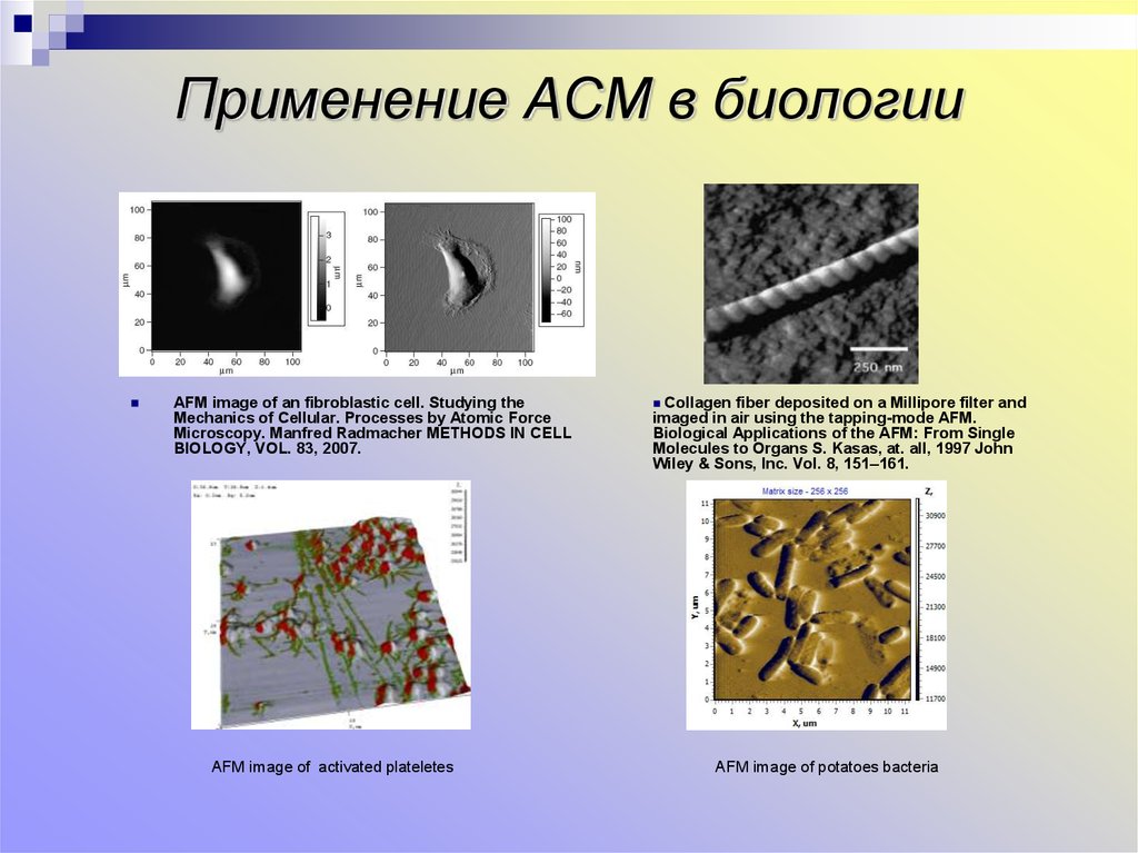 Обработка асм изображений