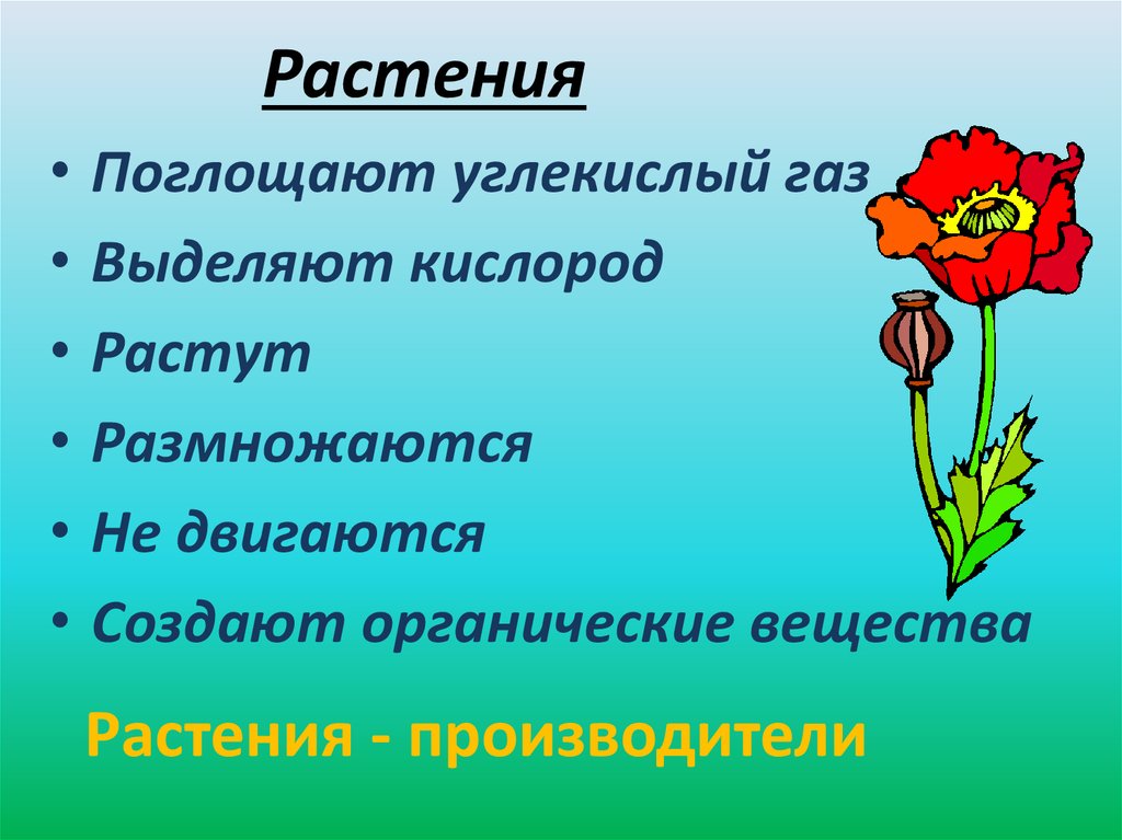 Растения поглощающие