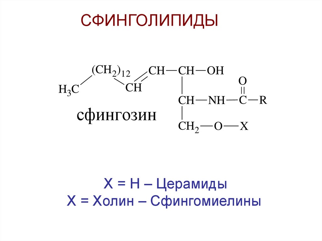 Структура глицерофосфатов и сфинголипидов