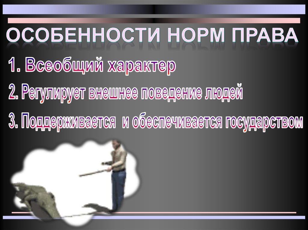Особенности норм права примеры