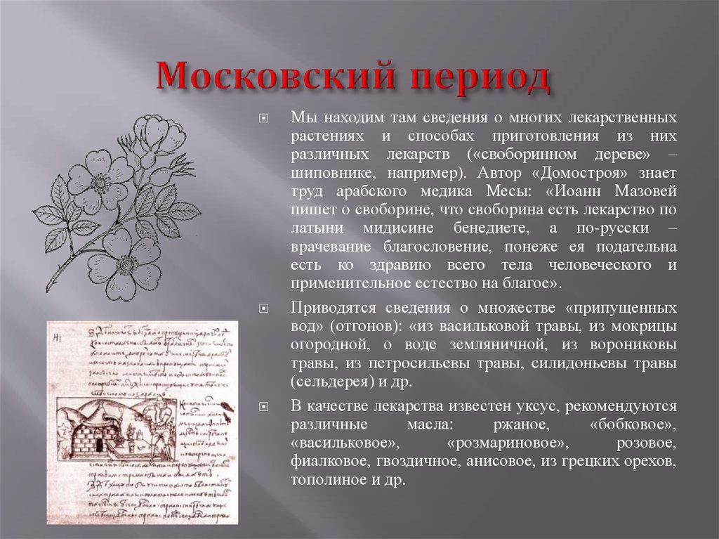 Московский период. Московский период особенности. Московский период России. «Московский период деятельности Николая Новикова» Макагоненко.