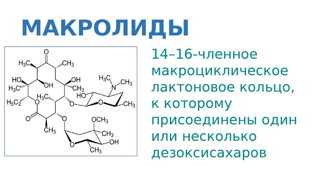 Макролиды презентация фармакология