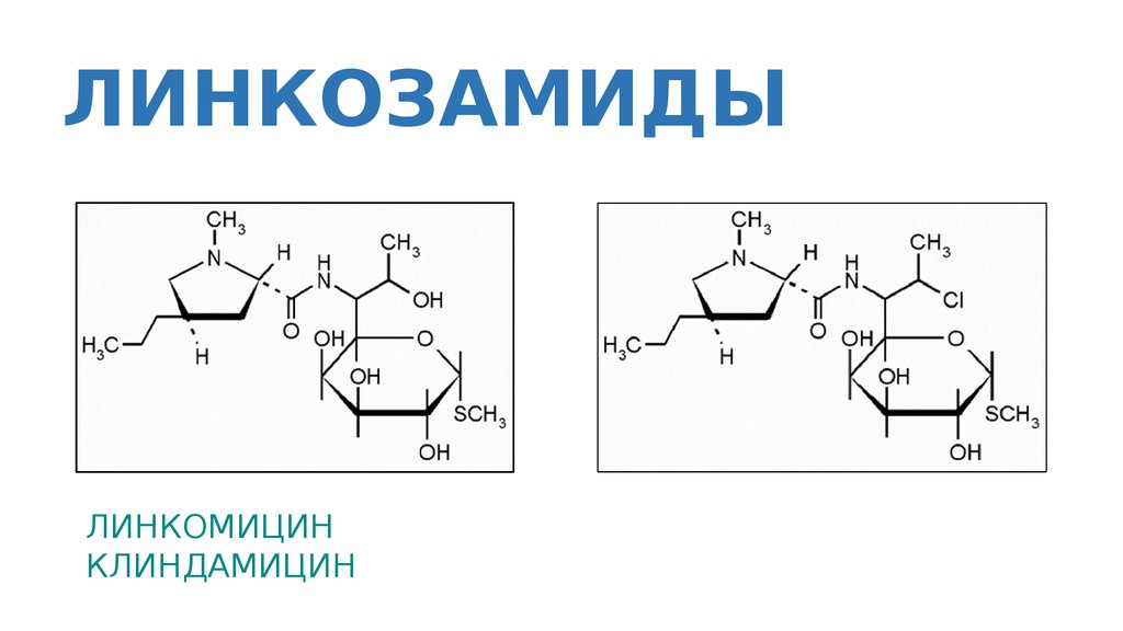 Линкозамиды презентация фармакология