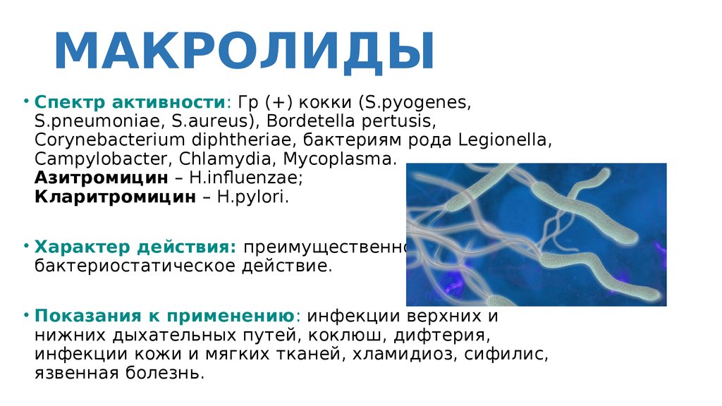 Азитромицин спектр. Сектор действия макролиды. Макролиды спектр. Макролиды спектр действия. Макролиды антибиотики спектр.